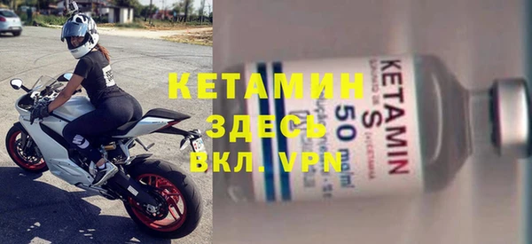ГАЛЛЮЦИНОГЕННЫЕ ГРИБЫ Дмитриев