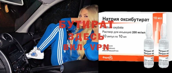 ГАЛЛЮЦИНОГЕННЫЕ ГРИБЫ Дмитриев
