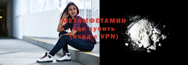 ГАЛЛЮЦИНОГЕННЫЕ ГРИБЫ Дмитриев