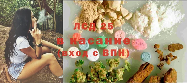 ГАЛЛЮЦИНОГЕННЫЕ ГРИБЫ Дмитриев