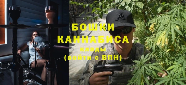 ГАЛЛЮЦИНОГЕННЫЕ ГРИБЫ Дмитриев