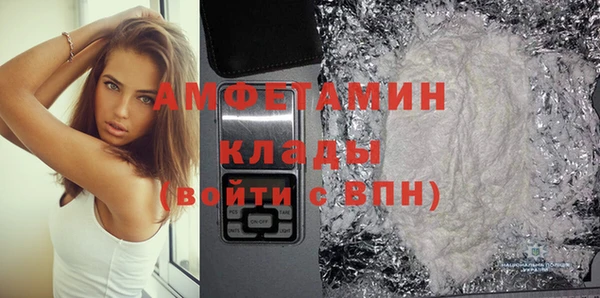 ГАЛЛЮЦИНОГЕННЫЕ ГРИБЫ Дмитриев