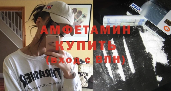 ГАЛЛЮЦИНОГЕННЫЕ ГРИБЫ Дмитриев