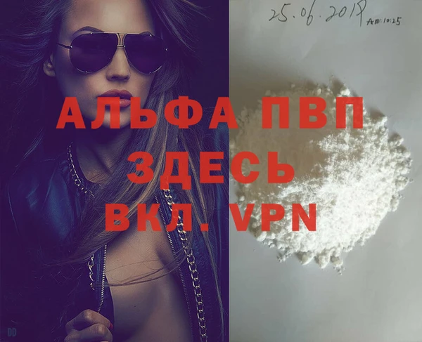ГАЛЛЮЦИНОГЕННЫЕ ГРИБЫ Дмитриев