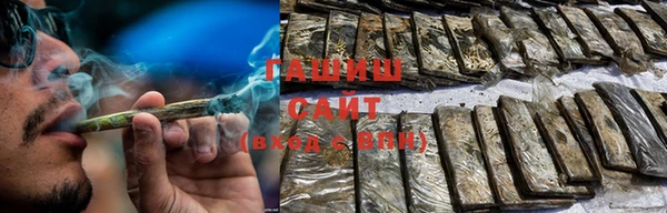 ГАЛЛЮЦИНОГЕННЫЕ ГРИБЫ Дмитриев