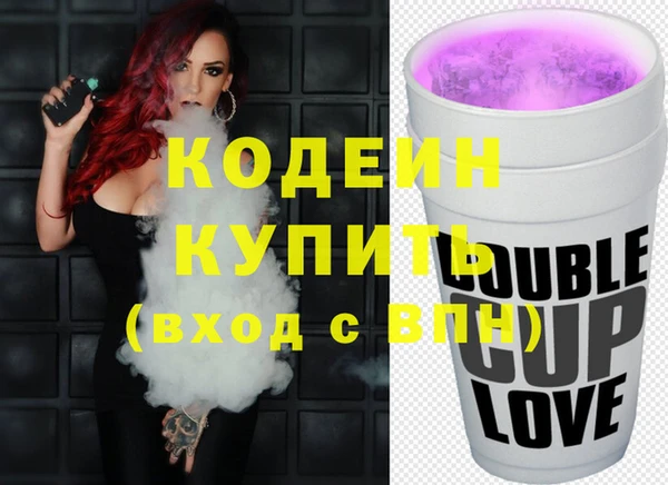ГАЛЛЮЦИНОГЕННЫЕ ГРИБЫ Дмитриев