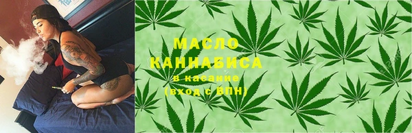 ГАЛЛЮЦИНОГЕННЫЕ ГРИБЫ Дмитриев