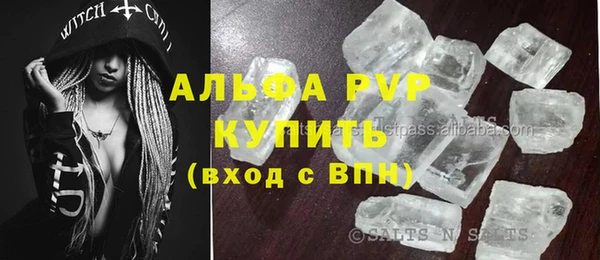 ГАЛЛЮЦИНОГЕННЫЕ ГРИБЫ Дмитриев