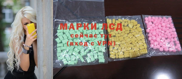 ГАЛЛЮЦИНОГЕННЫЕ ГРИБЫ Дмитриев