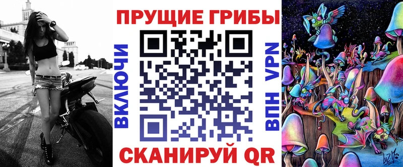 Купить закладки  Абинск  Галлюциногенные грибы мицелий 